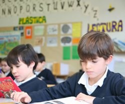 Los políticos piden adoctrinar a los niños en un nuevo idioma, llamado no-sexista, poco compatible con la lengua española y el sentido común