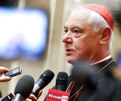 El cardenal Müller preside Doctrina de la Fe - el nuevo texto habla de jerarquía y nuevos movimientos