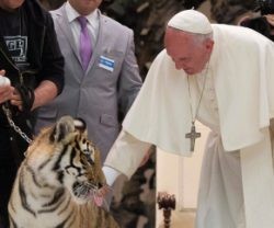 Varios artistas callejeros visitan al Papa Francisco en Roma: acróbatas, músicos, titiriteros y hasta un tigre