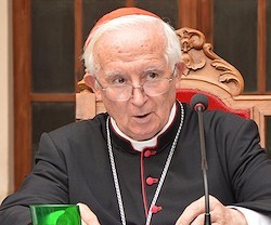 El cardenal Cañizares intenta concienciar a la ciudadanía de la ideología de género