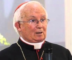 El cardenal Cañizares denuncia la ley de privilegios y multas LGTB