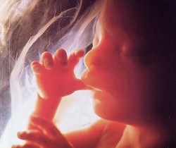 La Cámara de Representantes vota a favor de prohibir los abortos cuando el feto sienta dolor