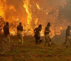 Los obispos de Galicia tildan de «grave inmoralidad» provocar incendios y ofrecen su red asistencial