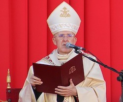 El cardenal Osoro pidió a Nuestra Señora de la Almudena que toque el corazón de todos los hombres.