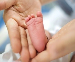 Madrid acogerá un Congreso sobre Naprotecnología, técnica eficaz y aceptable contra la infertilidad
