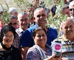 «Ceremonia del olivo»: un signo de fe de los cristianos de Irak para poder volver por fin a su hogar