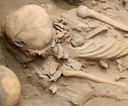 Hallan en Perú los restos del mayor sacrificio de niños conocido en el mundo: les abrieron el pecho