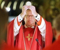 Willem Eijk fue creado cardenal en 2o12 por Benedicto XVI