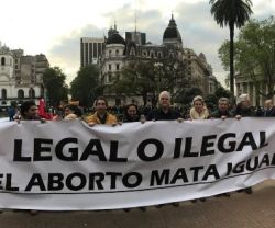 El Congreso argentino aprueba el aborto por 4 votos: el Senado puede pararlo, los provida perseveran
