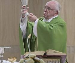 El Papa habló de la importancia del testimonio en la vida del cristiano