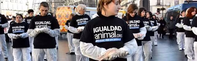 Mascotas con abogado y tutela judicial: la legislación va incorporando las exigencias animalistas