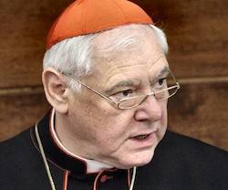 Declaración de Fe del cardenal Müller «ante la creciente confusión en la enseñanza de la doctrina»