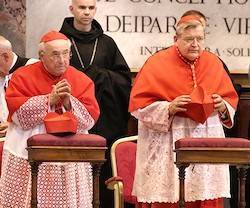Los cardenales Brandmüller (izquierda) y Burke (derecha) piden a los obispos que no sigan guardando silencio ante los males que padece la Iglesia. Foto: Edward Pentin.