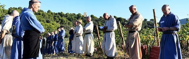 Unos vinos de calidad: monjes y agricultores trabajan juntos en un ejemplo de «opción benedictina» 