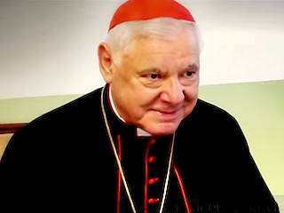 Cardenal Müller: amenazas a la fe
