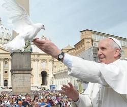 El Papa, para la Jornada de la Paz: «El camino de la reconciliación requiere paciencia y confianza»