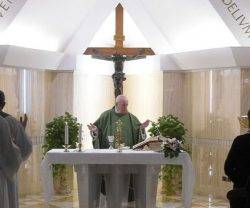 El Papa Francisco propone a todos la oración confiada del leproso: «Señor, si quieres, puedes»