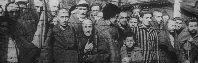 Un estudio documenta la presencia de miles de católicos en Auschwitz y cómo perseveraron en su fe