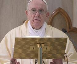 «El Señor consuela de cerca, con su Presencia, con esperanza y sin falsedades», explica el Papa