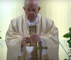 El Papa Francisco pide rezar por las enfermeras, que «han dado ejemplo de heroísmo y dado la vida»