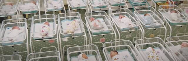 Estocazo a los vientres de alquiler: la imagen de bebés acumulados en un hotel sacude conciencias