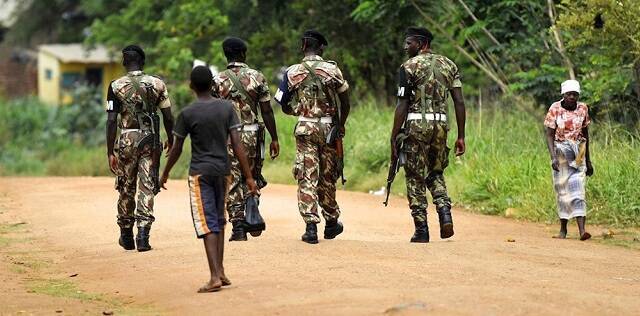 Langostas devoradoras y yihadistas en Mozambique y Níger: las plagas que preocupan a los misioneros
