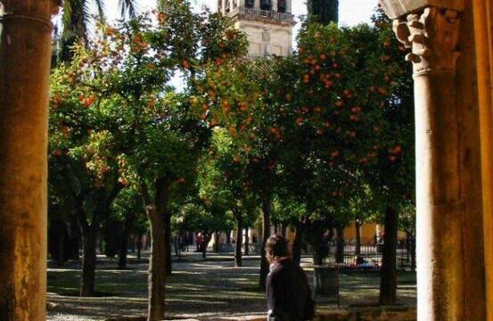 Empieza una investigación arqueológica en el Patio de los Naranjos de la catedral de Córdoba