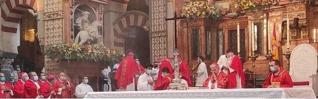 Ceremonia de beatificación de los 127 mártires de Córdoba en la mezquita-catedral el 16 de octubre