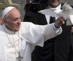 El Papa Francisco con una paloma en la Plaza de San Pedro de Roma