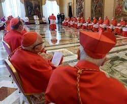 Consistorio Público Ordinario presidido por el Papa