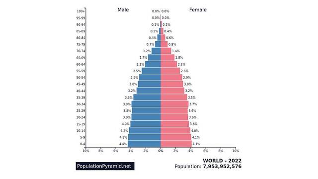 Pirámide de población mundial en 2022.