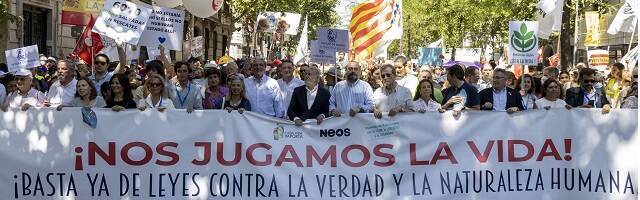 Manifestación provida de la Asamblea de Asociaciones en Madrid en junio de 2022