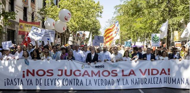 Manifestación provida de la Asamblea de Asociaciones en Madrid en junio de 2022