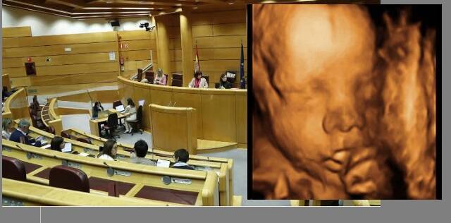 El Senado español endurece la Ley del Aborto para que no se informe casi nada a la embarazada sobre riesgos o alternativas