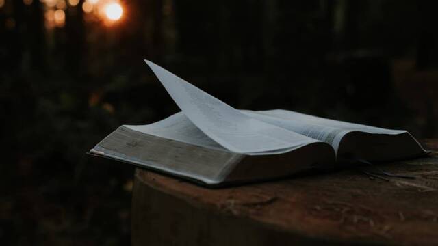 Libro en un bosque, con las páginas abiertas.
