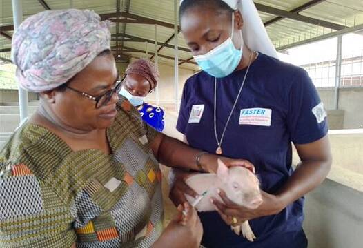 Sor Christabel -con mascarilla- sostiene un cerdito que vacuna su superior, Sor Rosalia Sakayombo, en su granja-escuela premiada
