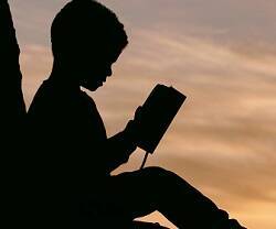Un niño sentado leyendo junto a un árbol