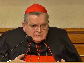 Doble sanción al cardenal Burke