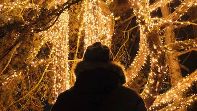 Mujer abrigada contempla en la noche un árbol con luces de Navidad.