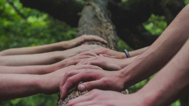 Varias personas posan su mano sobre un tronco derribado.