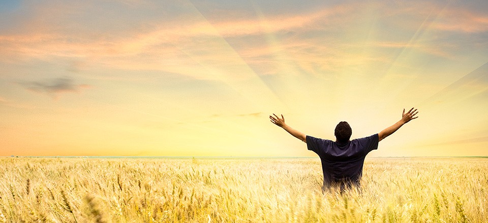 Un hombre abre los brazos mostrando libertad, en un campo de trigo.
